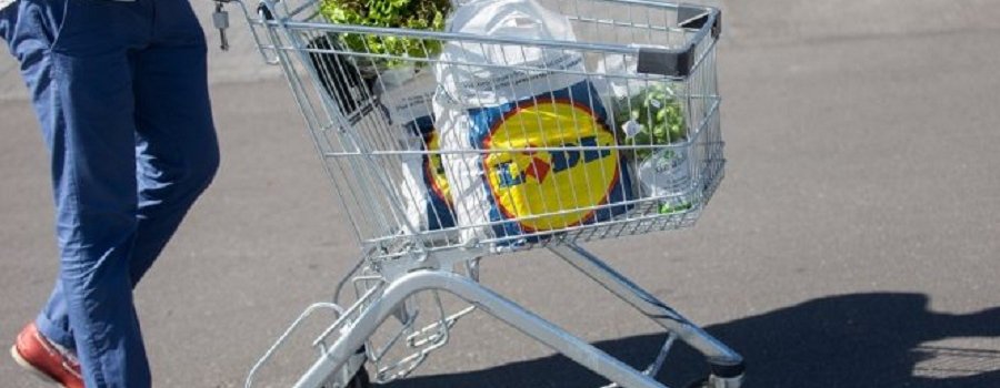 Девелоперы Lidl обещают вырубить меньше деревьев