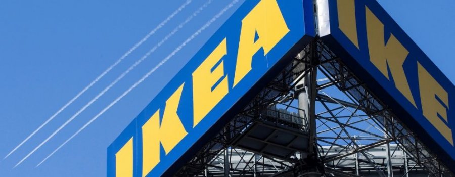 Dienas Bizness: IKEA audze savu mežsaimniecības biznesu Latvijā