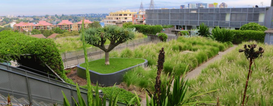 ВИДЕО: Зелёные крыши. По всему миру на крышах жилых домов монтируют сады