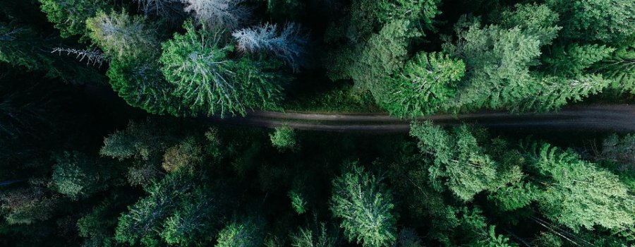 Būvdarbi turpinās 49 valsts autoceļu posmos